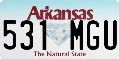 AR license plate 531MGU