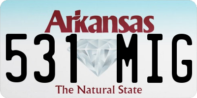AR license plate 531MIG