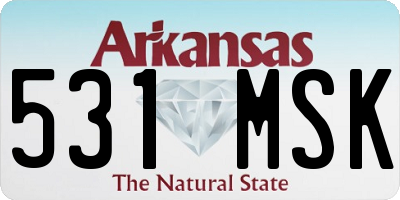 AR license plate 531MSK