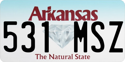 AR license plate 531MSZ