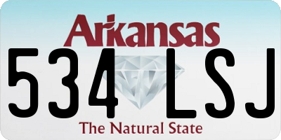 AR license plate 534LSJ