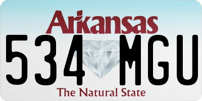 AR license plate 534MGU