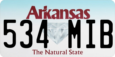 AR license plate 534MIB