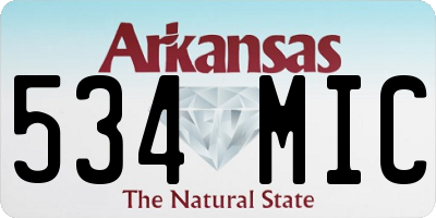 AR license plate 534MIC