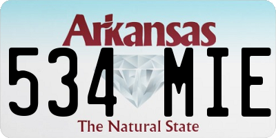 AR license plate 534MIE