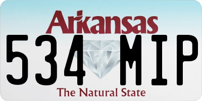 AR license plate 534MIP