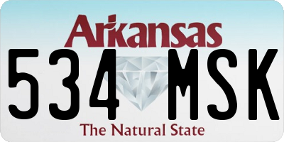 AR license plate 534MSK