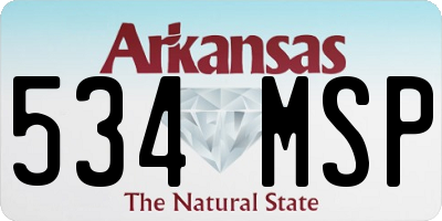 AR license plate 534MSP