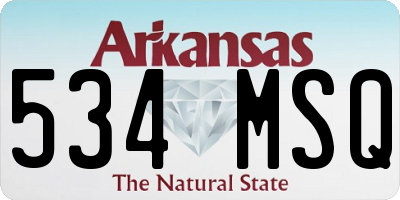 AR license plate 534MSQ