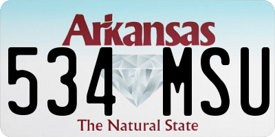 AR license plate 534MSU