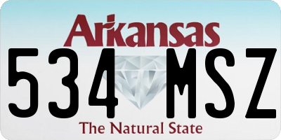 AR license plate 534MSZ