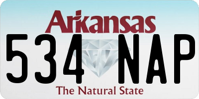 AR license plate 534NAP