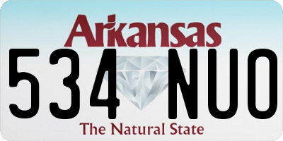AR license plate 534NUO