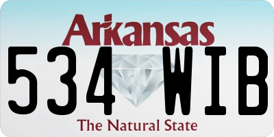 AR license plate 534WIB
