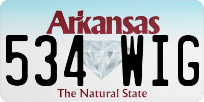 AR license plate 534WIG