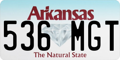 AR license plate 536MGT