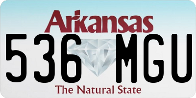 AR license plate 536MGU