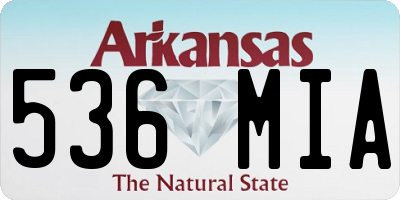 AR license plate 536MIA