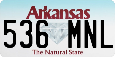 AR license plate 536MNL