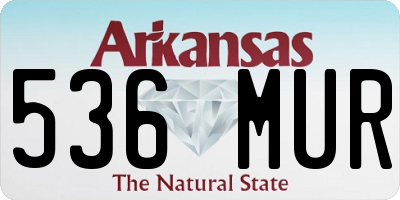 AR license plate 536MUR
