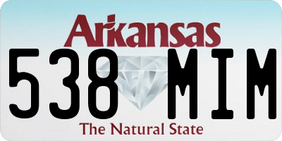 AR license plate 538MIM