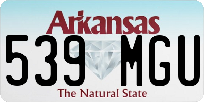 AR license plate 539MGU