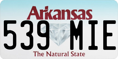AR license plate 539MIE