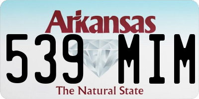 AR license plate 539MIM