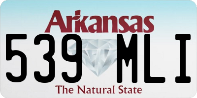 AR license plate 539MLI