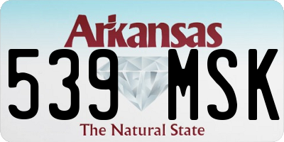 AR license plate 539MSK