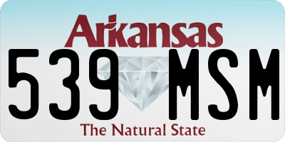 AR license plate 539MSM