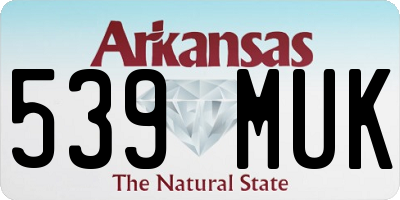 AR license plate 539MUK