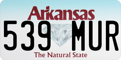 AR license plate 539MUR