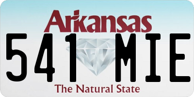 AR license plate 541MIE