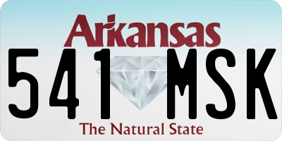 AR license plate 541MSK