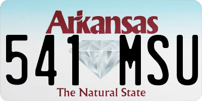 AR license plate 541MSU