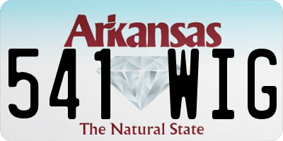 AR license plate 541WIG