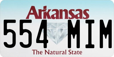 AR license plate 554MIM