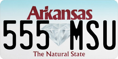 AR license plate 555MSU