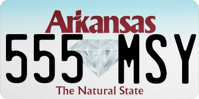 AR license plate 555MSY