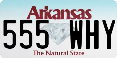 AR license plate 555WHY