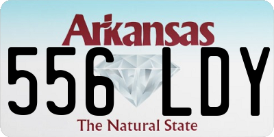 AR license plate 556LDY