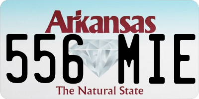 AR license plate 556MIE