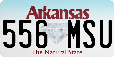 AR license plate 556MSU
