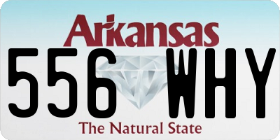 AR license plate 556WHY
