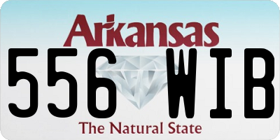 AR license plate 556WIB