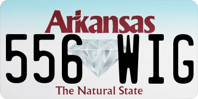 AR license plate 556WIG