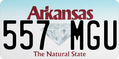 AR license plate 557MGU