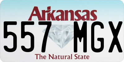 AR license plate 557MGX