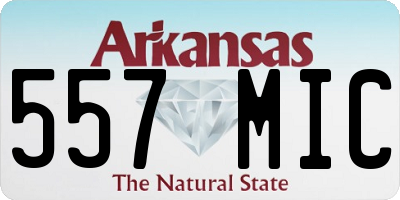 AR license plate 557MIC